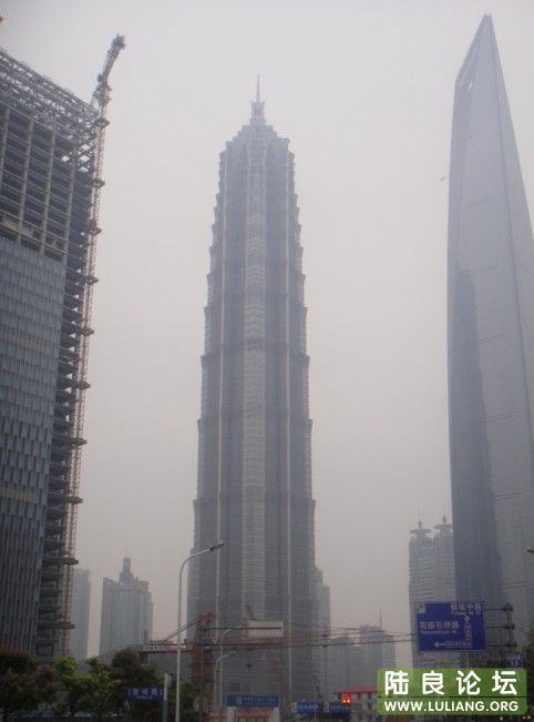 ��ï����