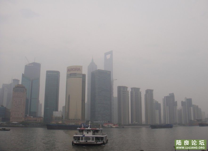 �Ϻ�ʯͷɭ�ֵ�����