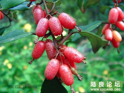 ţ���̣������ �����Ҽ��Ǳ��Ѿ������� ��ϧ