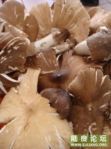 ҲĢ�����´����ͻ�ȥɽ���ң�����ܺó�