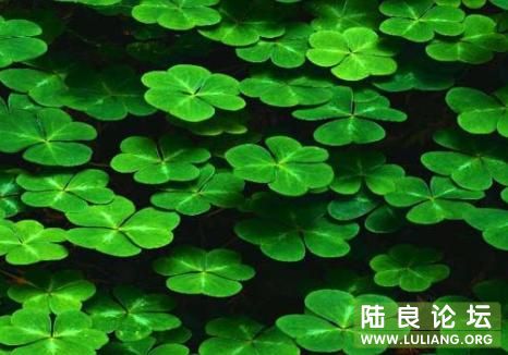 �����䣬��ĺ� ����һ�ڿ�ˮ����ͣ�������￲��