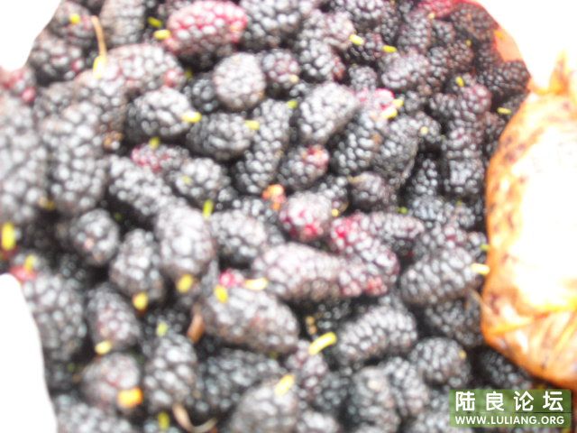 ����ȥ�ɵ���ɣ��������Ƭ�� ����