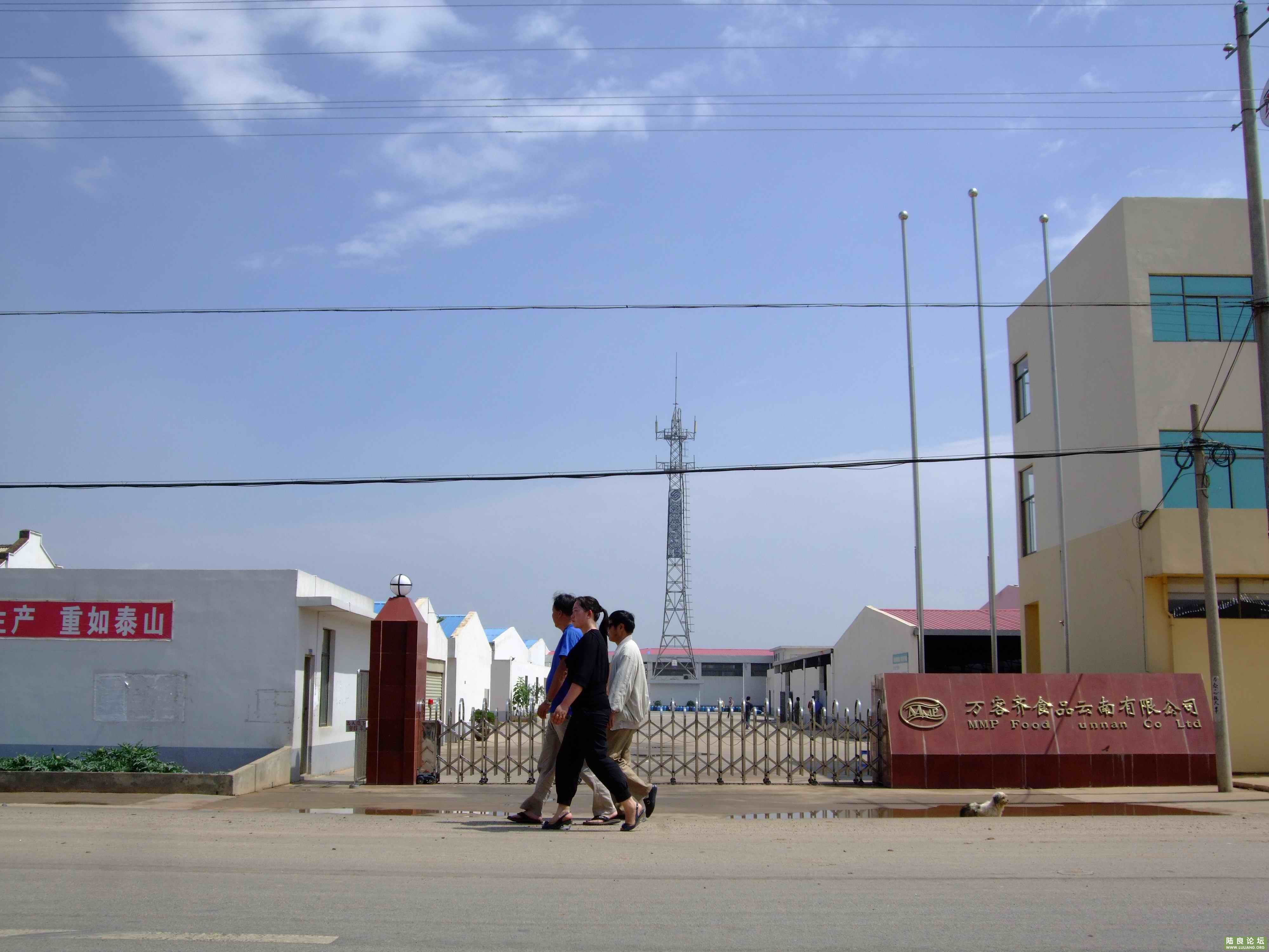 ���� (3).jpg