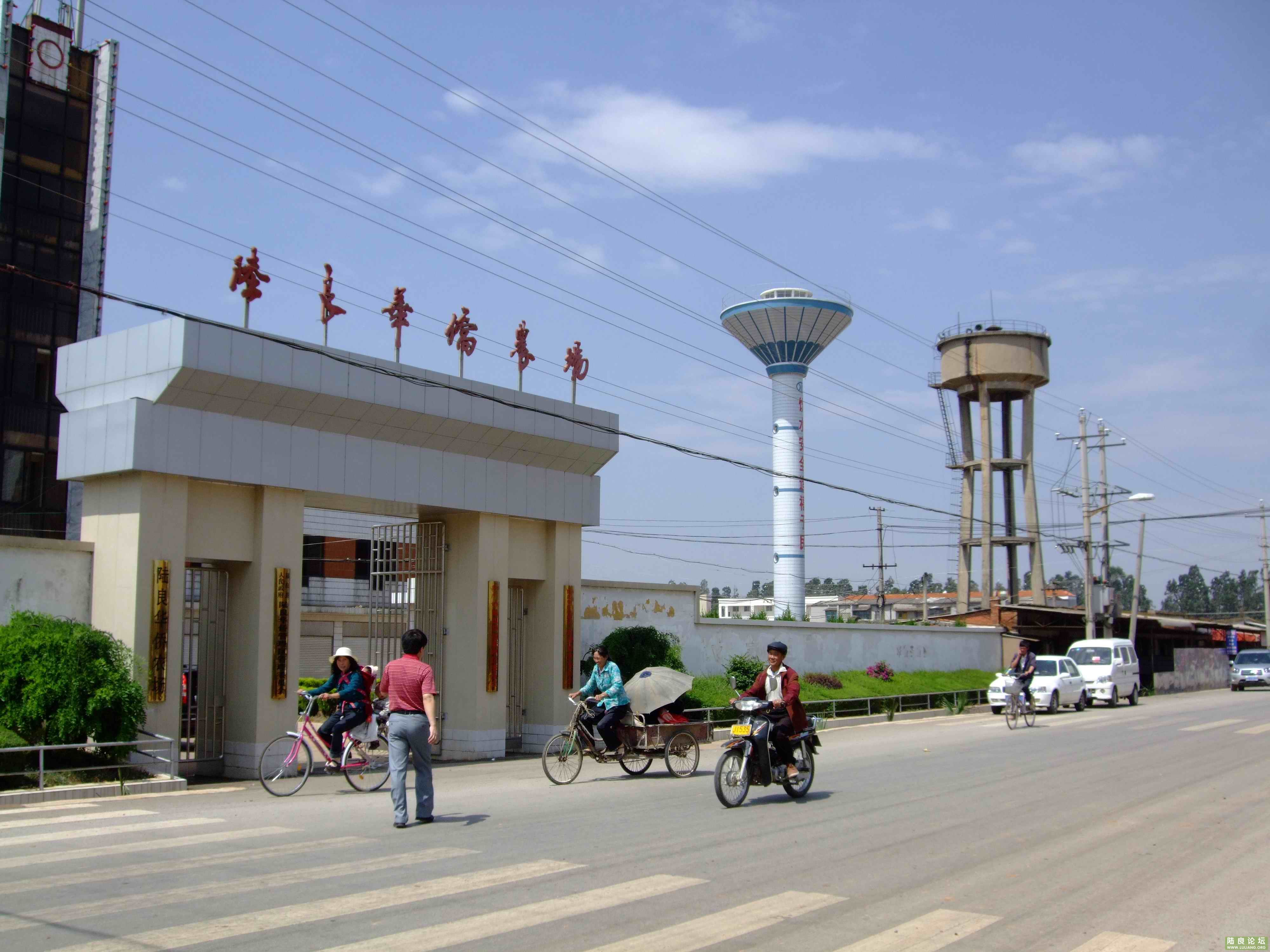 ���� (2).jpg