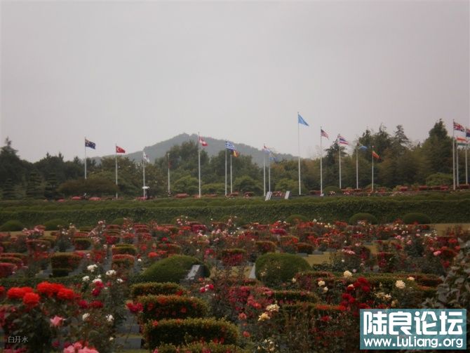 ����ս���У��ں���ս�������Ϲ�����Ĺ�ء�����