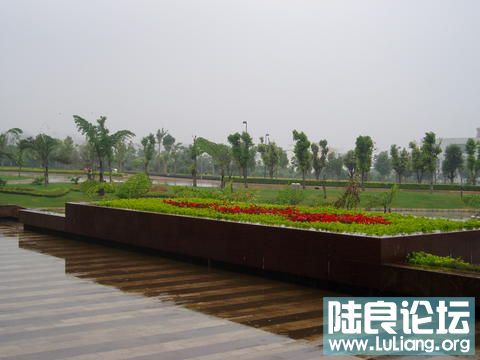 ����������㳡