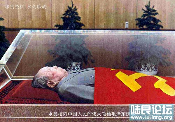 ��׼�����Ϳ��Ĺײ�