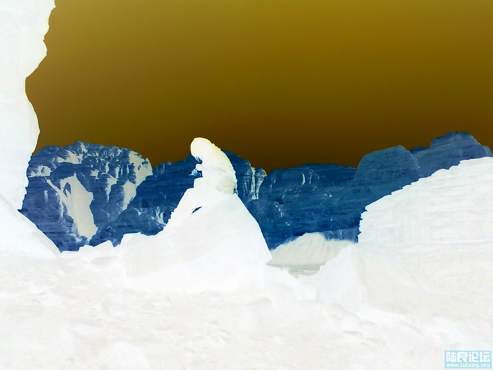 �����ɳĮ�e�������^һ�����.