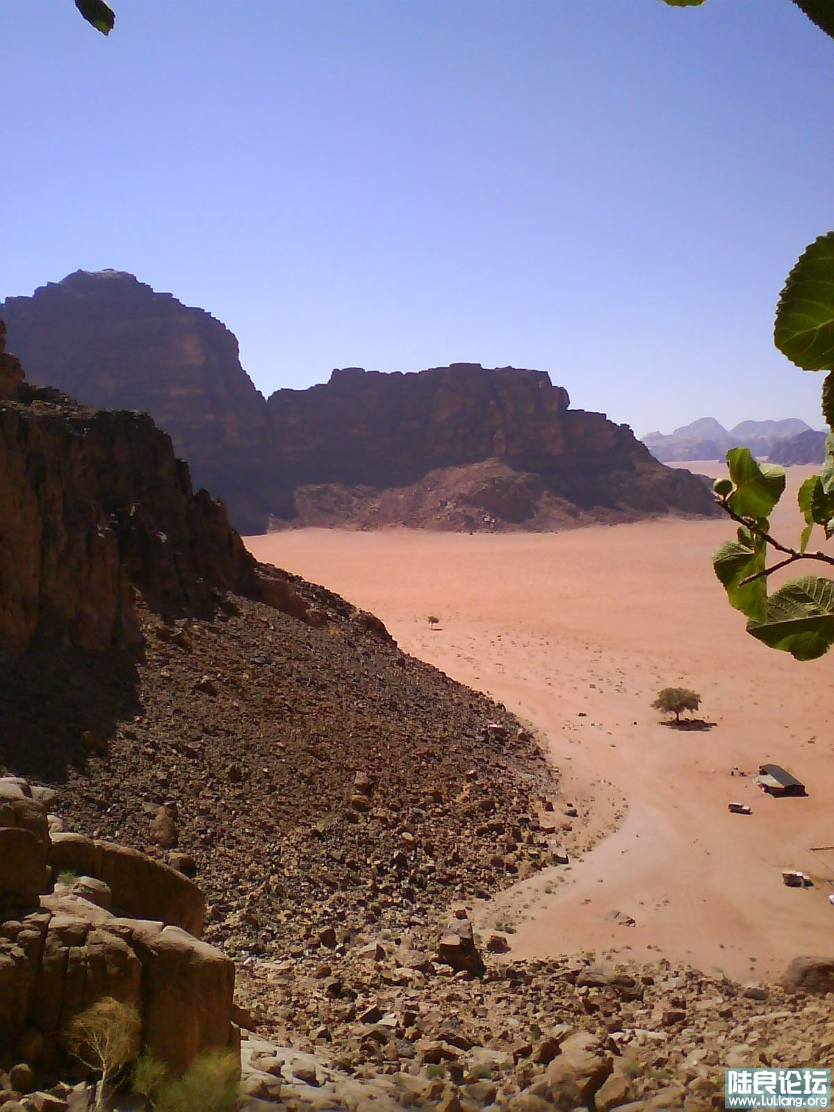 ��ɽ�����¿�...