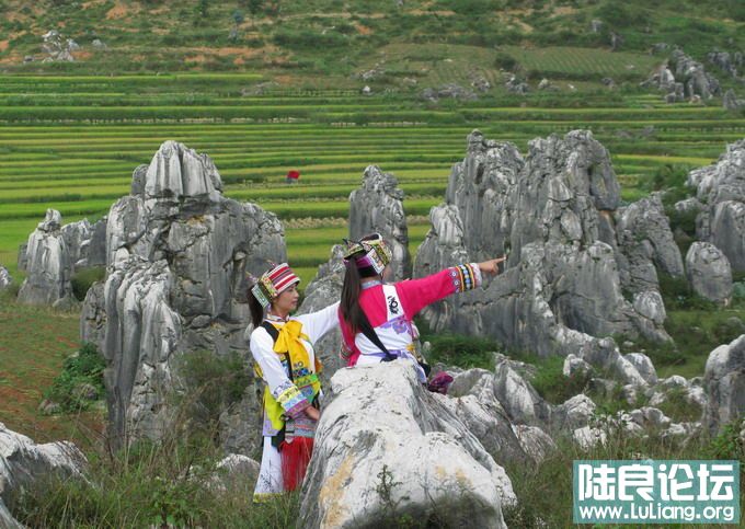 ��ʫ�� (20).jpg