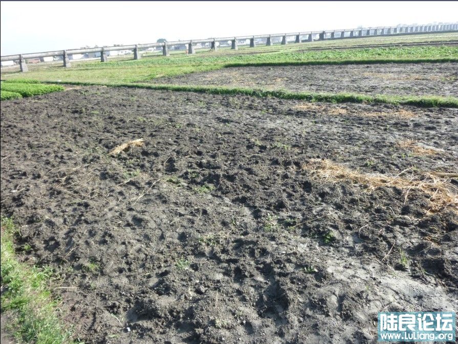 ���ֵĺ�����