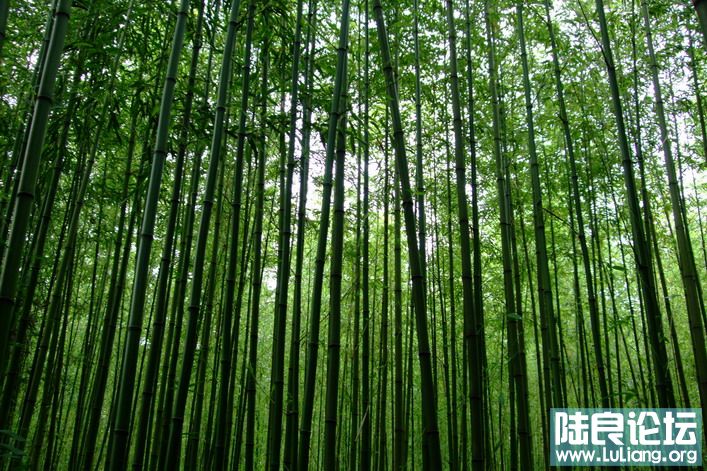 ��ѽ� (10).jpg