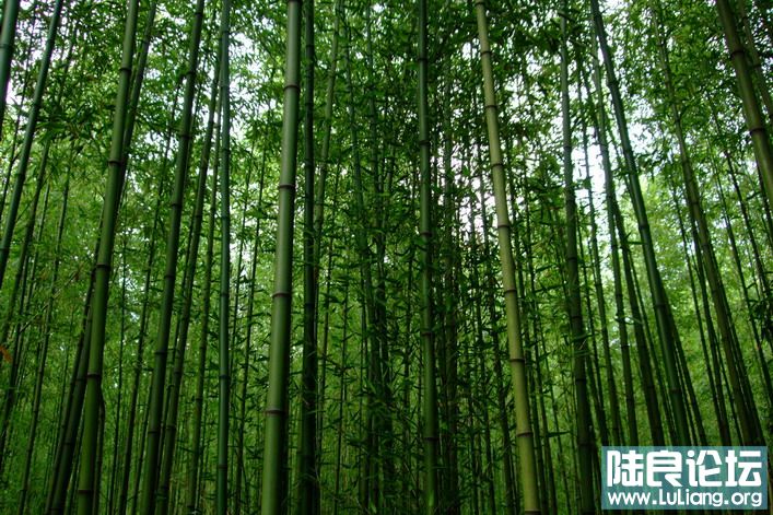 ��ѽ� (11).jpg