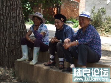 ���� (16).jpg