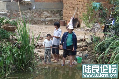 ���� (11).jpg