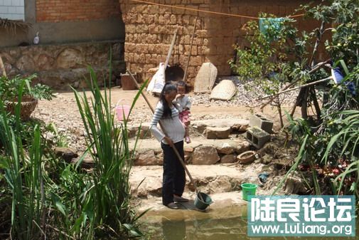 ���� (3).jpg