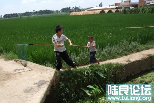 ���� (8).jpg