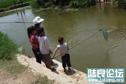 ���� (13).jpg