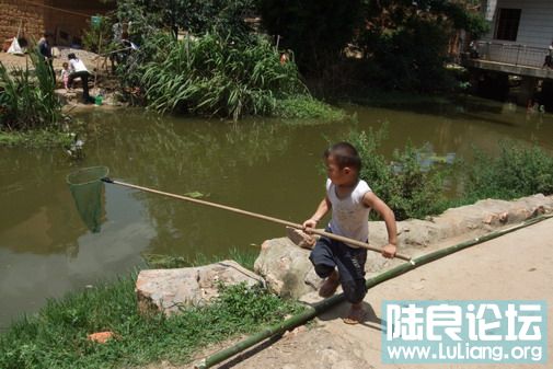 ���� (7).jpg