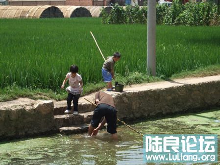 ���� (20).jpg