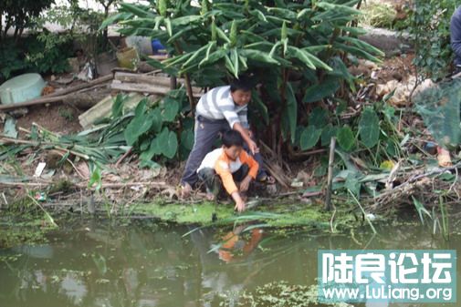 ���� (12).jpg