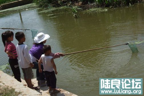 ���� (14).jpg