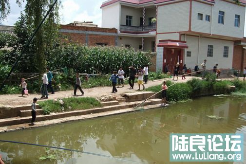 ���� (1).jpg