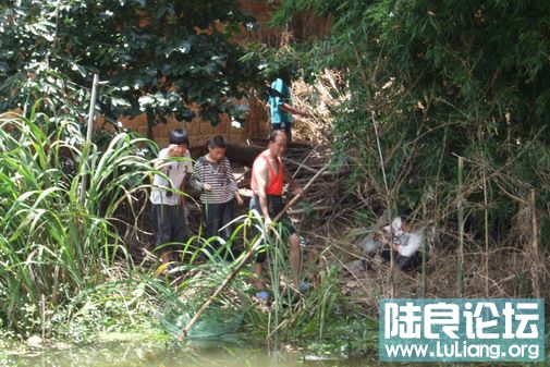 ���� (2).jpg