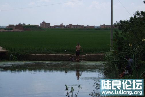 ���� (10).jpg