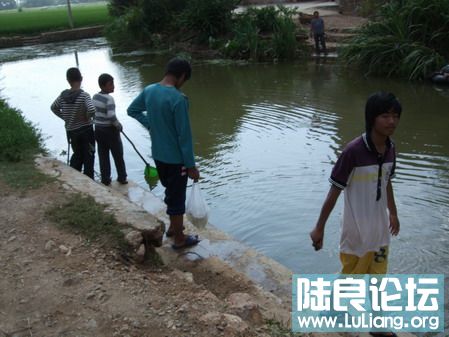 ���� (29).jpg