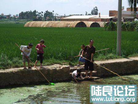 ���� (21).jpg