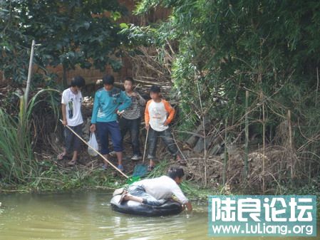 ���� (33).jpg