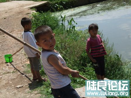 ���� (26).jpg