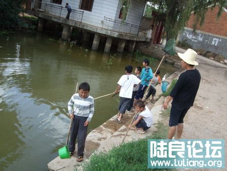 ���� (30).jpg