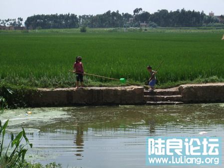 ���� (22).jpg