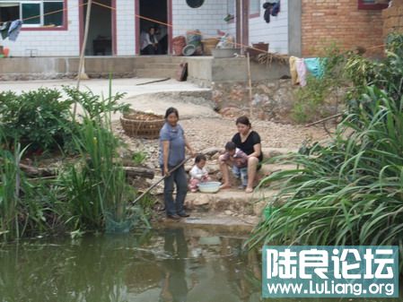 ���� (32).jpg