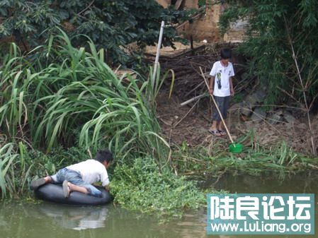 ���� (31).jpg