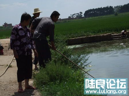 ���� (24).jpg