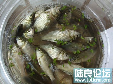 ���� (23).jpg