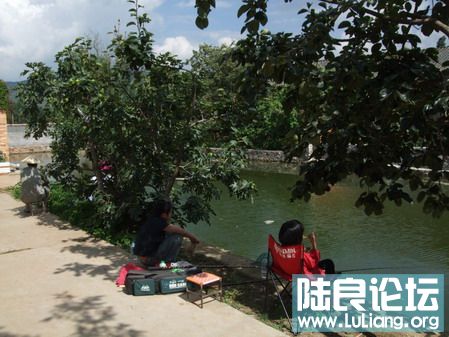 ���� (36).jpg