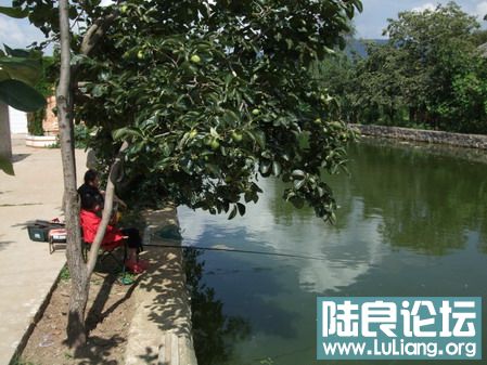 ���� (35).jpg