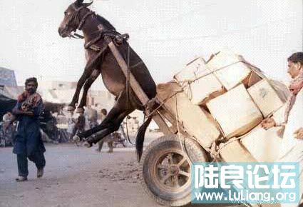 ���ص���߾���