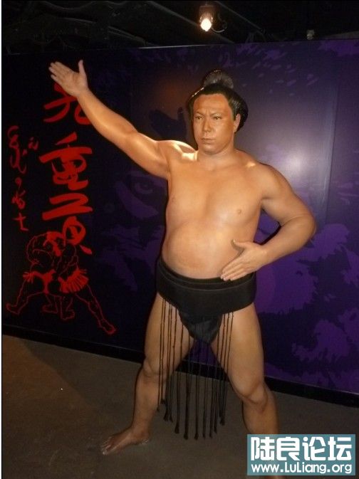 ����ѡ��,��������