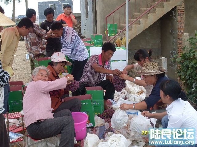 ������ (5).JPG