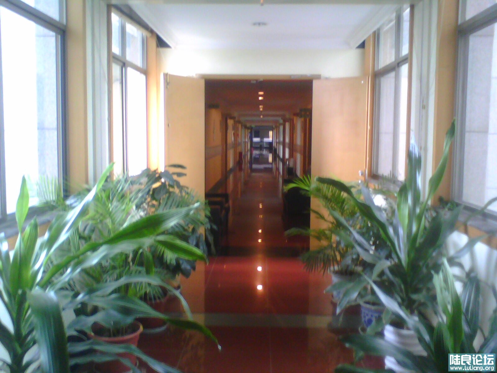 �����ӵ������칫¥����ΰ��һ��