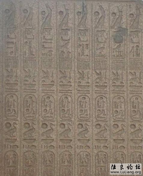 �Ű�������