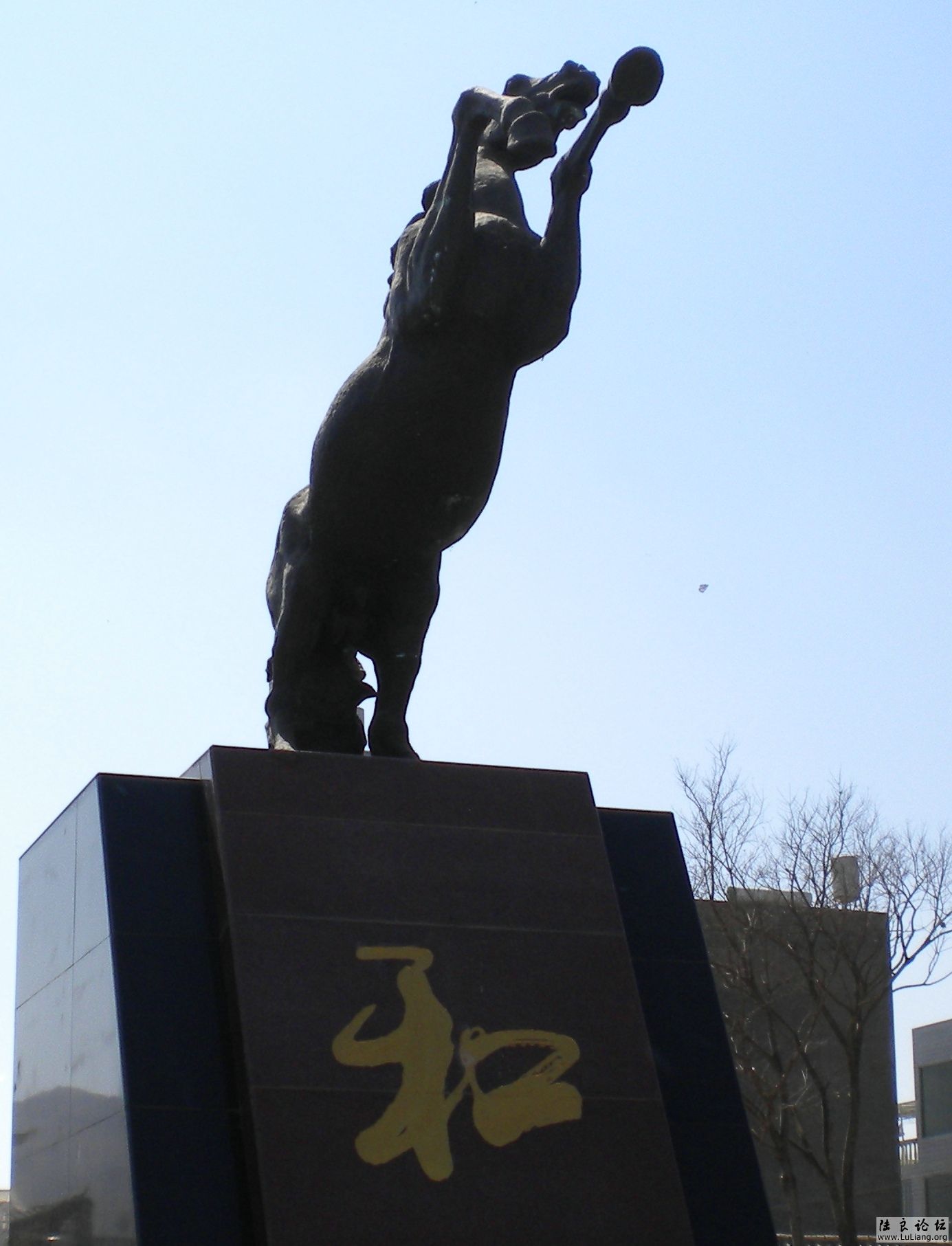 ½����Ƭ 155.jpg