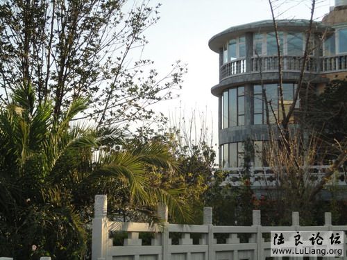 ½��ˮľ����