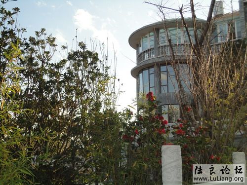 ½��ˮľ����