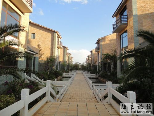 ½��ˮľ����